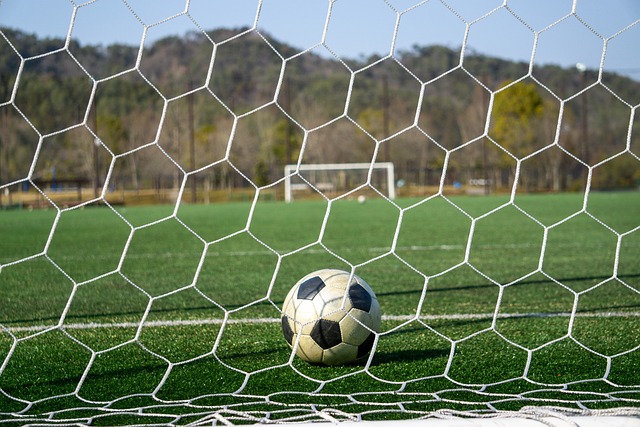 与丰富经验 与丰富经验