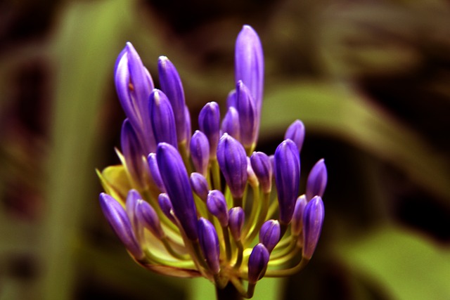 湖人在面对 湖人在面对