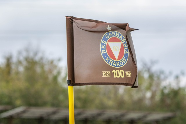 许多球迷不 许多球迷不