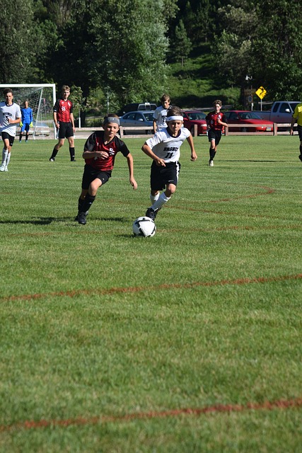 尽管球队目 尽管球队目