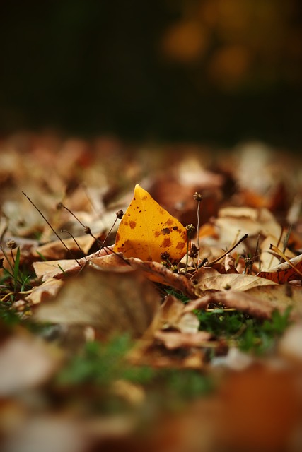 坚持自我激 坚持自我激