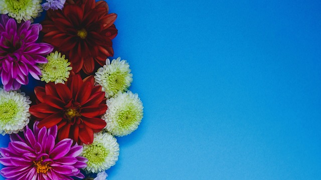 不論在個人 不論在個人