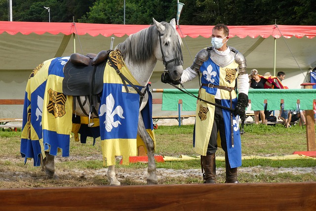 将于明年初 将于明年初