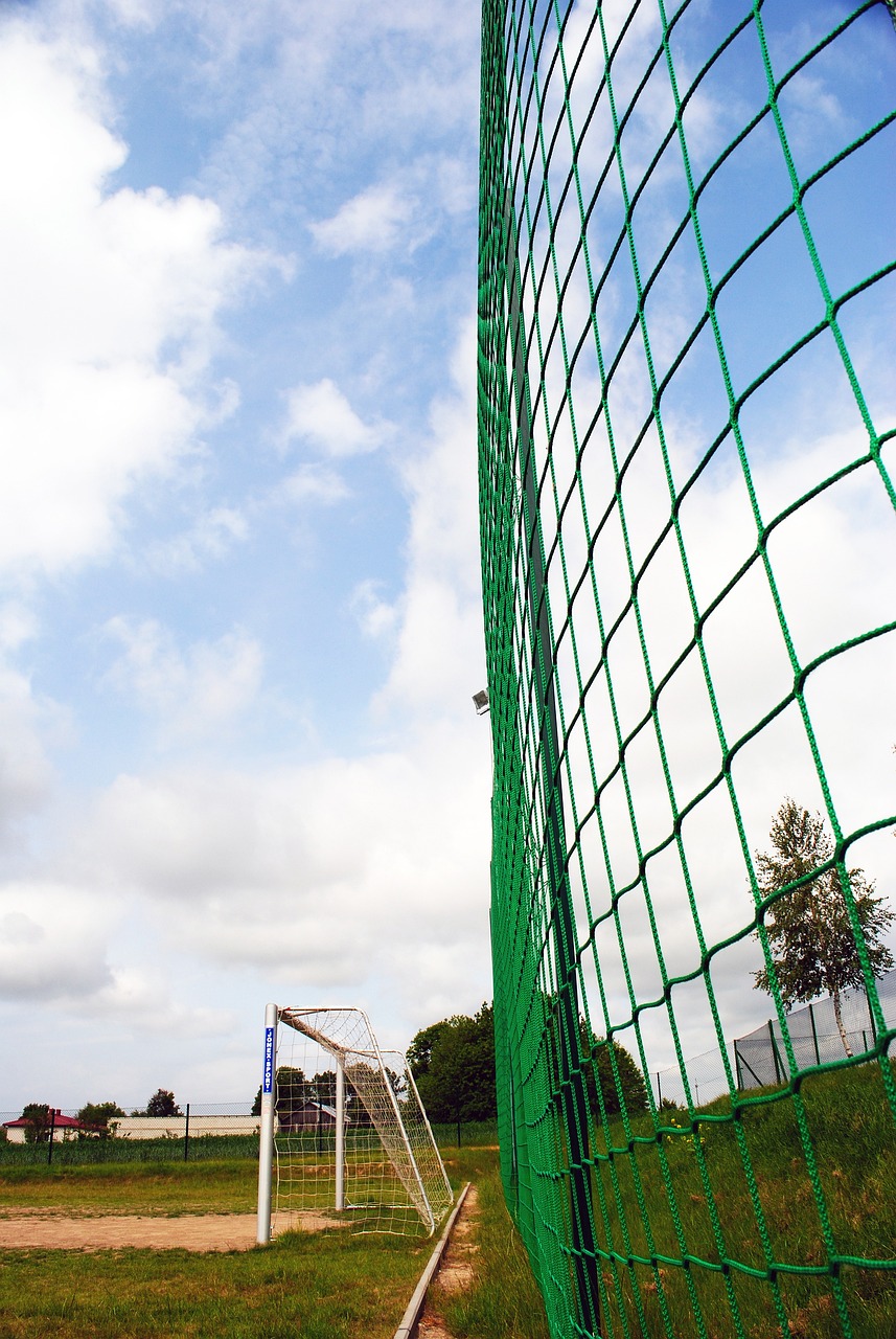 与生活动态 与生活动态