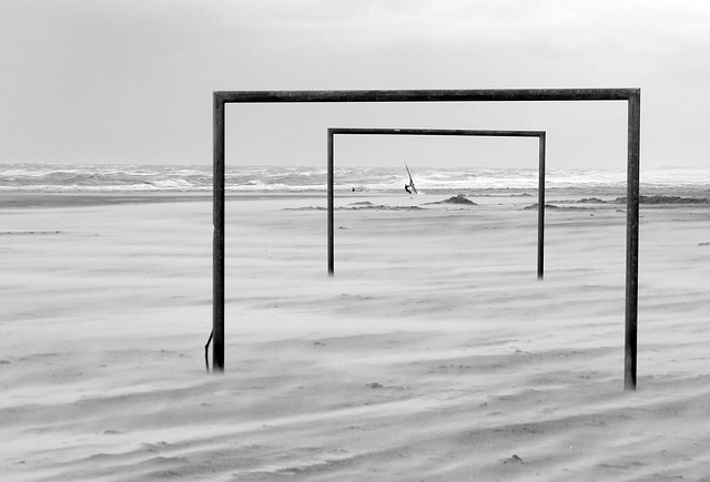 这也让灰熊 这也让灰熊